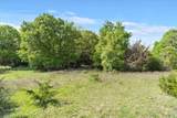 TBD 252 Acres Dan Morgan Road - Photo 14