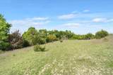 TBD 252 Acres Dan Morgan Road - Photo 16