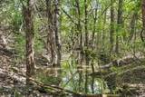 TBD 252 Acres Dan Morgan Road - Photo 17