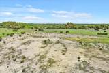 TBD 252 Acres Dan Morgan Road - Photo 19