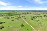 TBD 252 Acres Dan Morgan Road - Photo 21