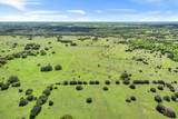 TBD 252 Acres Dan Morgan Road - Photo 24