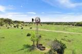 TBD 252 Acres Dan Morgan Road - Photo 25