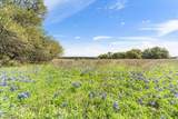 TBD 252 Acres Dan Morgan Road - Photo 27