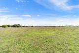 TBD 252 Acres Dan Morgan Road - Photo 29