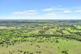 TBD 252 Acres Dan Morgan Road - Photo 7