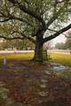 521 Fm 2838 - Photo 17