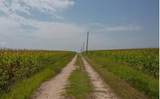 764 HCR 3422 County Road 3422 - Photo 22