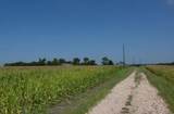 764 HCR 3422 County Road 3422 - Photo 23