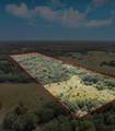 141 County Road 2021 - Photo 39