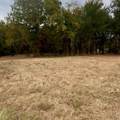 TBD Tx-154 - Photo 4
