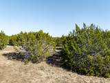 1141 Pitchfork Ranch Road - Photo 30