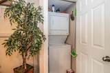 2824 Minert Street - Photo 12