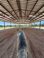 6101 County Road 208 - Photo 21