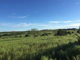 6101 County Road 208 - Photo 28