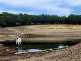 6101 County Road 208 - Photo 29
