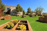 2333 Stella Lane - Photo 40