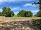 Tract 3 County Road 295 - Photo 5