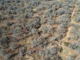5970 County Road 411 - Photo 14