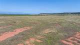 TBD 80 +/- Acres County Road 194 - Photo 6