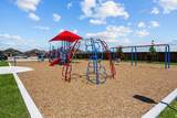 2315 Buffalo Bayou Way - Photo 24
