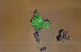 0 Bird Island - Photo 40
