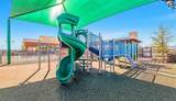 1736 Everglades Drive - Photo 16