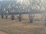 3435 State Highway 276 - Photo 9