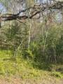 TBD Fm 542 Road - Photo 4
