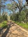 TBD Fm 542 Road - Photo 5