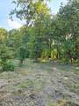347 Copper Branch Road - Photo 37