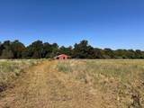 4037 Main Street - Photo 12