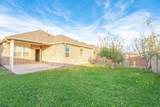 437 Lipizzan Lane - Photo 22