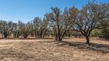1924 Coleman Ranch Road - Photo 4