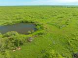 TBD 243+/- Acres Fm 2393 - Photo 14