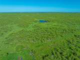 TBD 243+/- Acres Fm 2393 - Photo 2