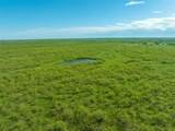 TBD 243+/- Acres Fm 2393 - Photo 21