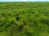 TBD 243+/- Acres Fm 2393 - Photo 22