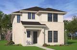15611 Swallowtail Street - Photo 3