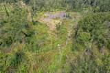 TBD County Road 2115 - Photo 36