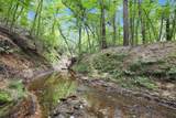 10114 County Road 272 - Photo 24