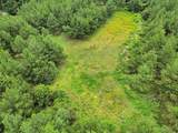 10114 County Road 272 - Photo 30
