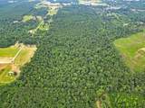 10114 County Road 272 - Photo 35