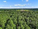 10114 County Road 272 - Photo 6