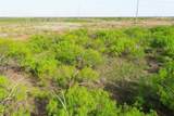 11811 County Road 97 - Photo 15