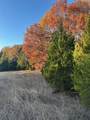 6448 County Road 437 - Photo 33