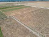 9125 County Road 101A - Photo 11