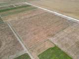 9125 County Road 101A - Photo 2
