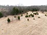 1407 Ponderosa Trail - Photo 17
