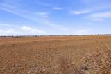 TBD-20 acres Tbd Cr 255 - Photo 7